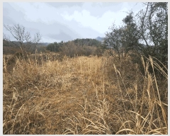  2025Ÿ��21093 �泲 ������ ���� ��� 421-53      ����(��1)���