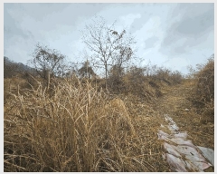  2025Ÿ��21093 �泲 ������ ���� ��� 421-53      ����(��1)���