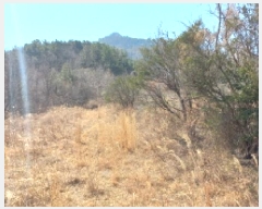  2025Ÿ��21093 �泲 ������ ���� ��� 421-53      ����(��1)���