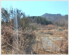  2025Ÿ��21093 �泲 ������ ���� ��� 421-53      ����(��1)���