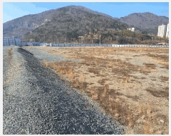  2025Ÿ21101 泲  ʸ 縮 315      ()