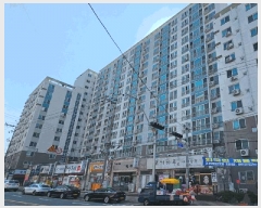  2025Ÿ21101 泲  ʸ 縮 315      ()