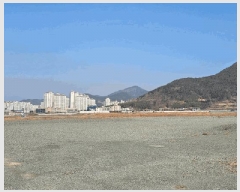  2025Ÿ21101 泲  ʸ 縮 315      ()