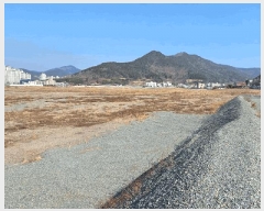  2025Ÿ21101 泲  ʸ 縮 315      ()