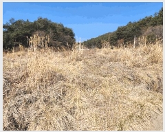  2025Ÿ21117 泲  󸮸  368-1      ()