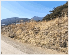  2025Ÿ21117 泲  󸮸  368-1      ()