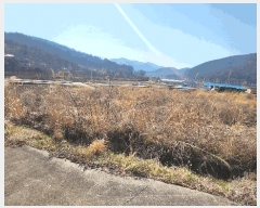  2025Ÿ21117 泲  󸮸  368-1      ()