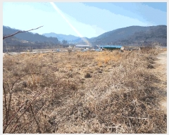  2025Ÿ21117 泲  󸮸  368-1      ()