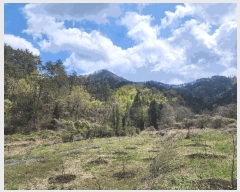  2025Ÿ21133 泲    71      (Ӿ)