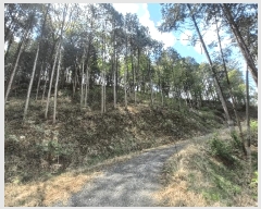  2025Ÿ21133 泲    71      (Ӿ)