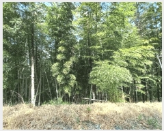  2025Ÿ21133 泲    71      (Ӿ)