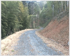  2025Ÿ21133 泲    71      (Ӿ)