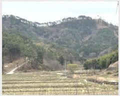  2025Ÿ21133 泲    71      (Ӿ)