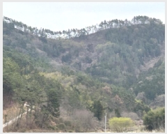  2025Ÿ21133 泲    71      (Ӿ)