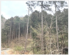  2025Ÿ21133 泲    71      (Ӿ)