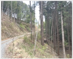  2025Ÿ21133 泲    71      (Ӿ)