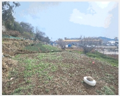  2025Ÿ21149 泲 뿵  ȭ 841      ()