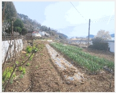  2025Ÿ21149 泲 뿵  ȭ 841      ()