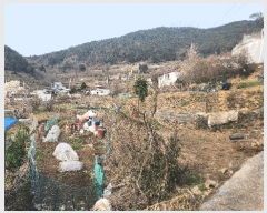  2025Ÿ21149 泲 뿵  ȭ 841      ()