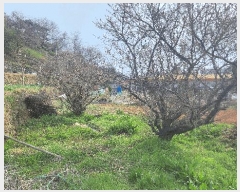  2025Ÿ21149 泲 뿵  ȭ 841      ()