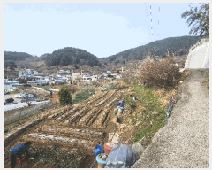  2025Ÿ21149 泲 뿵  ȭ 841      ()