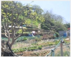  2025Ÿ21149 泲 뿵  ȭ 841      ()