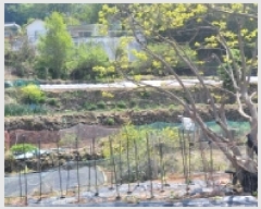  2025Ÿ21149 泲 뿵  ȭ 841      ()