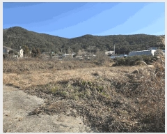  2025Ÿ��21189 �泲 ������ �󵿵� 927-9 ������-�ַ����� 2�� 206�� 15��1504ȣ   ����Ʈ���