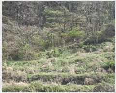  2025Ÿ21263 泲 뿵  ǳȭ 170      (Ӿ)