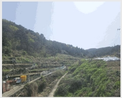  2025Ÿ21263 泲 뿵  ǳȭ 170      (Ӿ)