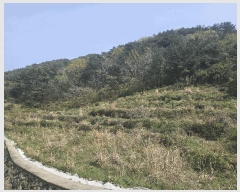  2025Ÿ21263 泲 뿵  ǳȭ 170      (Ӿ)