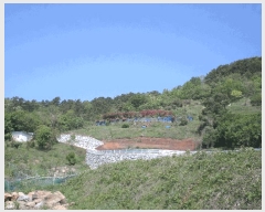  2025Ÿ��21296  �����