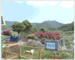  2025Ÿ��21296  �����