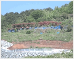  2025Ÿ��21296  �����