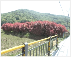  2025Ÿ��21296  �����