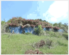  2025Ÿ��21296  �����