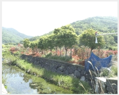  2025Ÿ��21296  �����