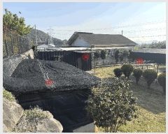  2025Ÿ21305 泲  ̸  415-3      ð