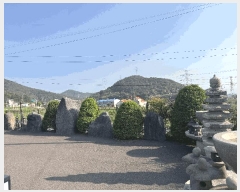  2025Ÿ21305 泲  ̸  415-3      ð