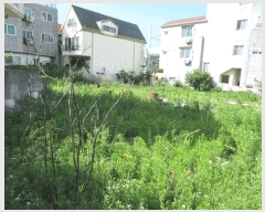  2025Ÿ21321 泲   636       ܵ,ð