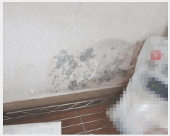  2025Ÿ21321 泲   636       ܵ,ð