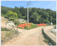  2025Ÿ��21339 �泲 �뿵�� ����� ������ 149      ����(��)���