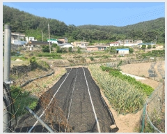  2025Ÿ��21339 �泲 �뿵�� ����� ������ 149      ����(��)���