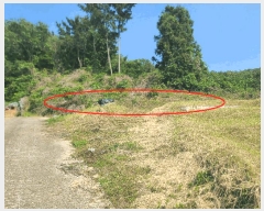  2025Ÿ��21339 �泲 �뿵�� ����� ������ 149      ����(��)���