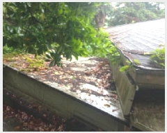  2025Ÿ��21371 �泲 ������ �Ͽ�� �������� 1321-4      ���ð��