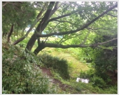  2025Ÿ��21371 �泲 ������ �Ͽ�� �������� 1321-4      ���ð��