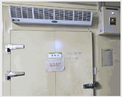  2025Ÿ��21441 �泲 ������ ���θ� �ٴ븮 425      ������