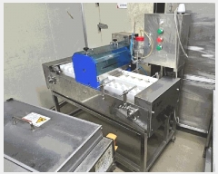  2025Ÿ��21441 �泲 ������ ���θ� �ٴ븮 425      ������