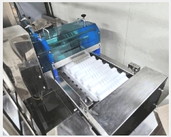  2025Ÿ��21441 �泲 ������ ���θ� �ٴ븮 425      ������