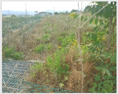  2025Ÿ��21457  ����